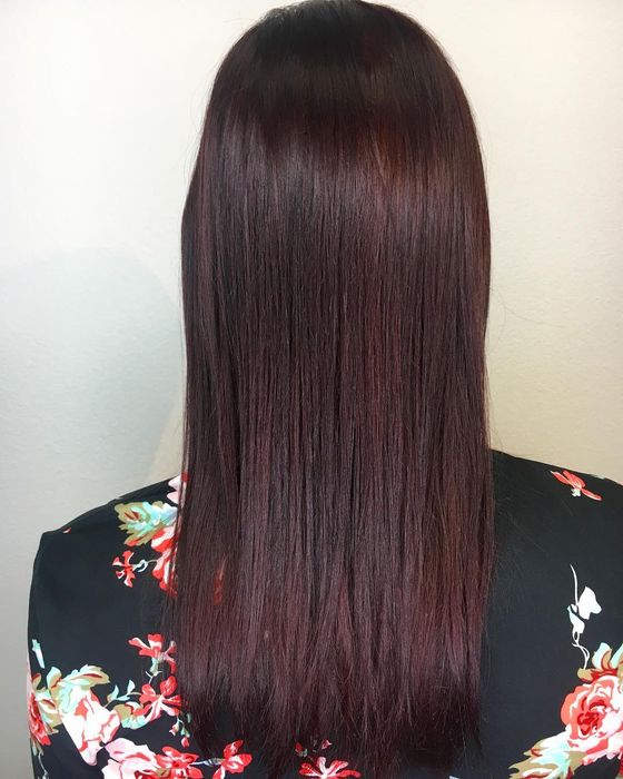 Long, straight, glossy dark burgundy hair seen from behind